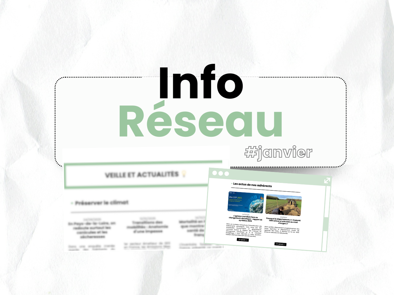 You are currently viewing INFO RÉSEAU – JANVIER